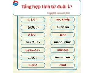 Tổng hợp các tính từ đặc trưng trong tiếng Nhật