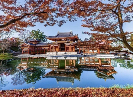 Nhận làm thủ tục lấy bảo hiểm cho các bạn lao động từ Nhật về